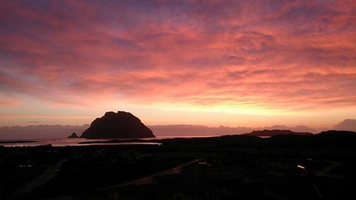 Appartamento A 50 Mt Dal Mare Porto San Paolo  Quarto foto